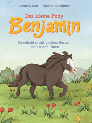 cover image of Das kleine Pony Benjamin